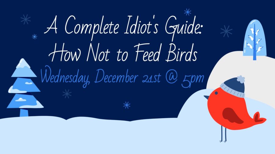 A Complete Idiot’s Guide: How Not to Feed Birds