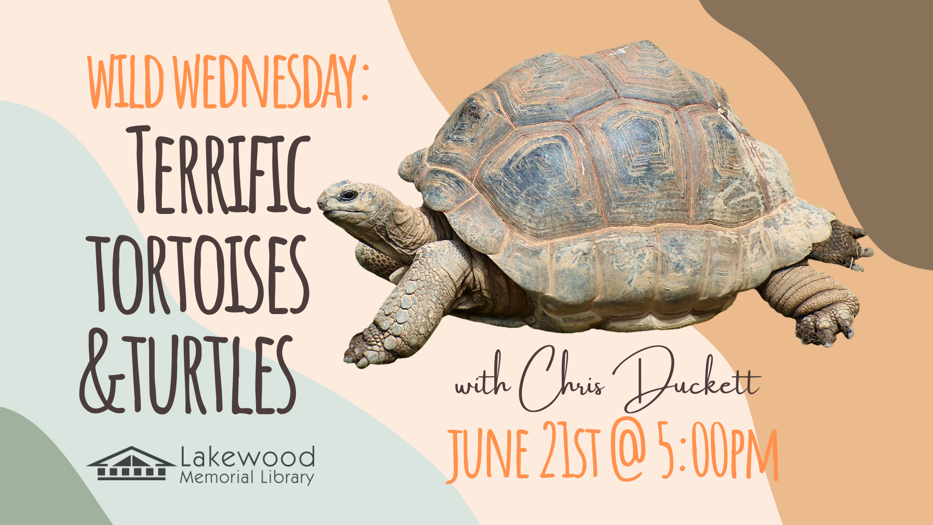 Terrific Tortoises & Turtles