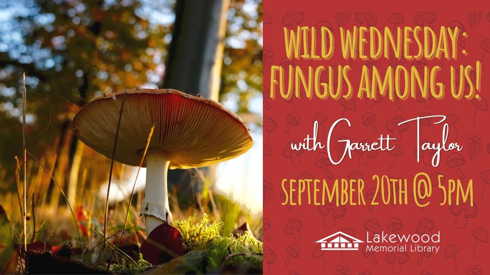 Wild Wednesday: Fungus Among Us