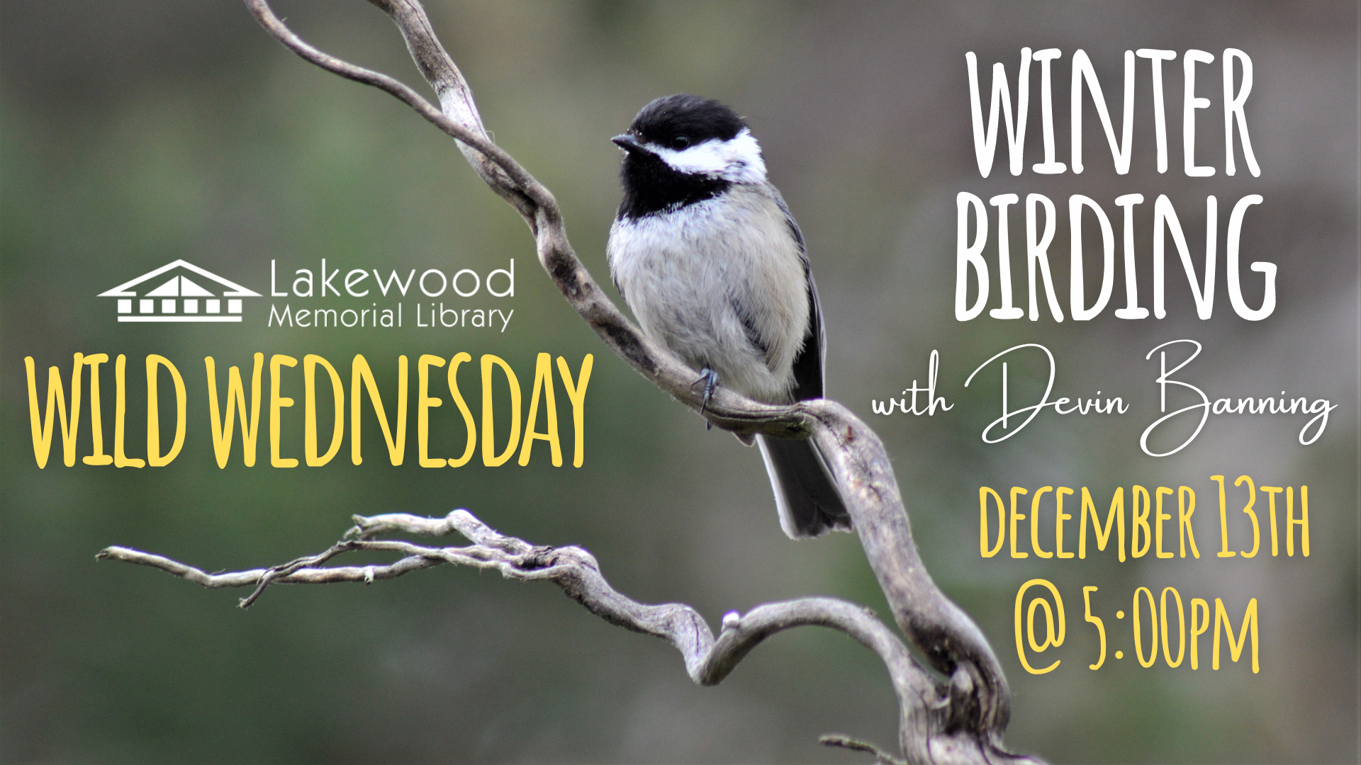 Wild Wednesday: Winter Birding
