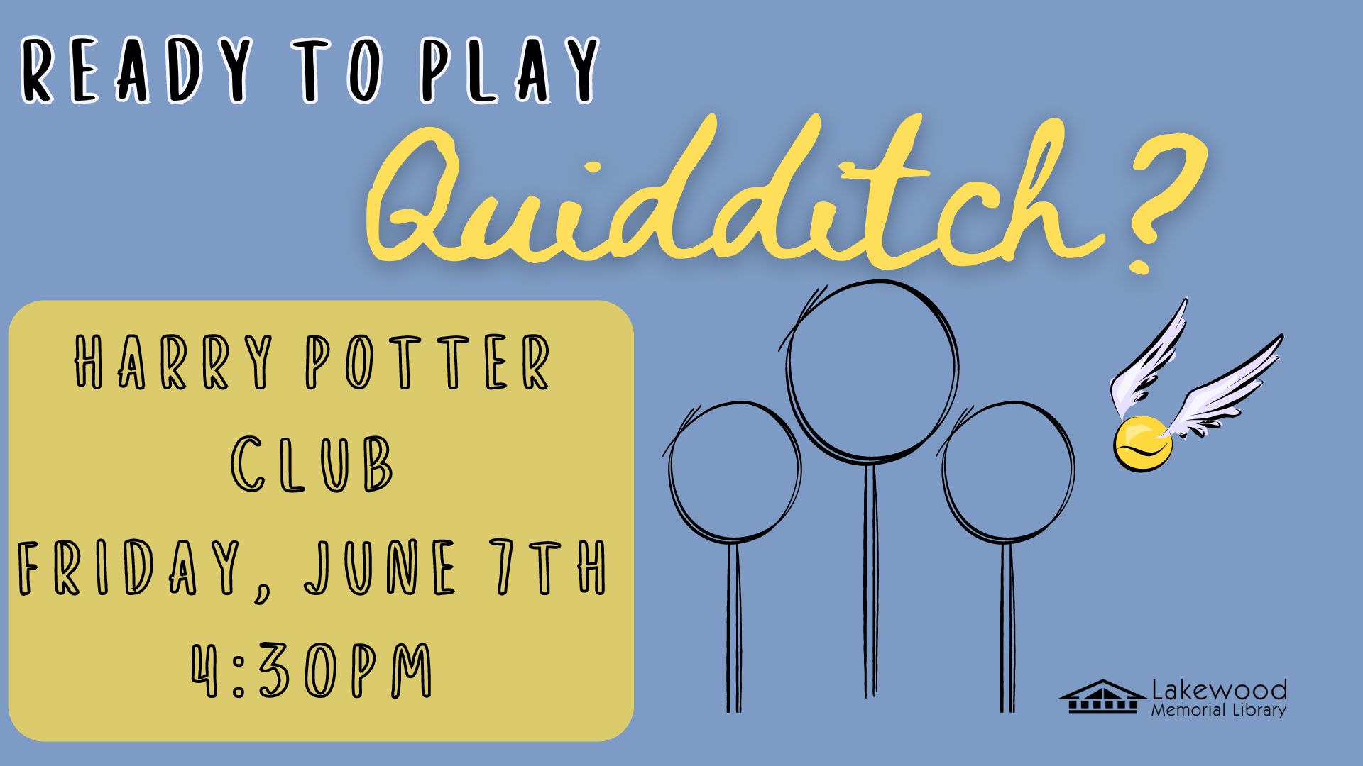 Harry Potter Club: Quidditch