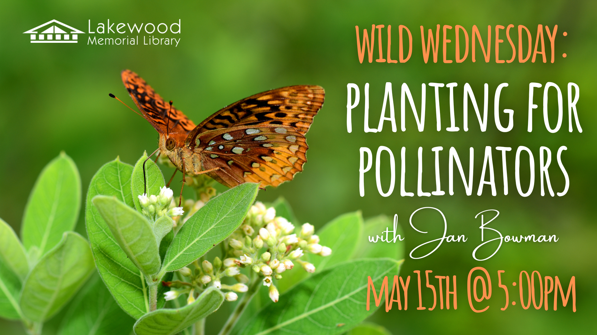 Wild Wednesday: Planting for Pollinators