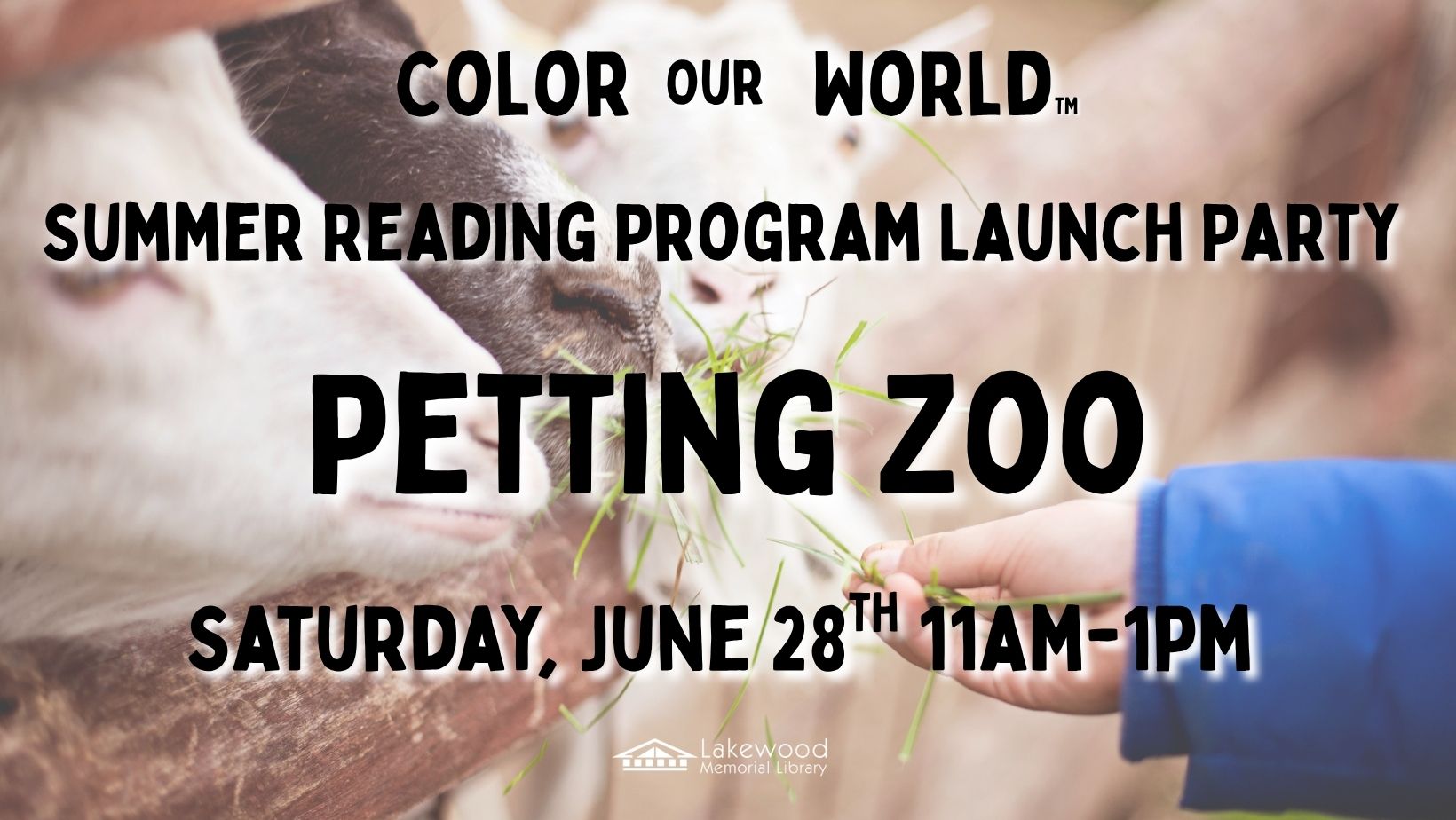 Summer Reading Program Begins June 28th