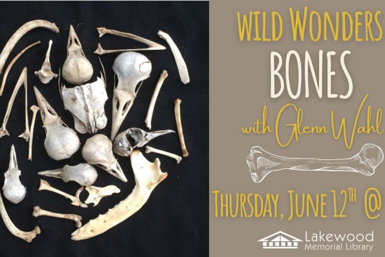 Wild Wonders: Bones