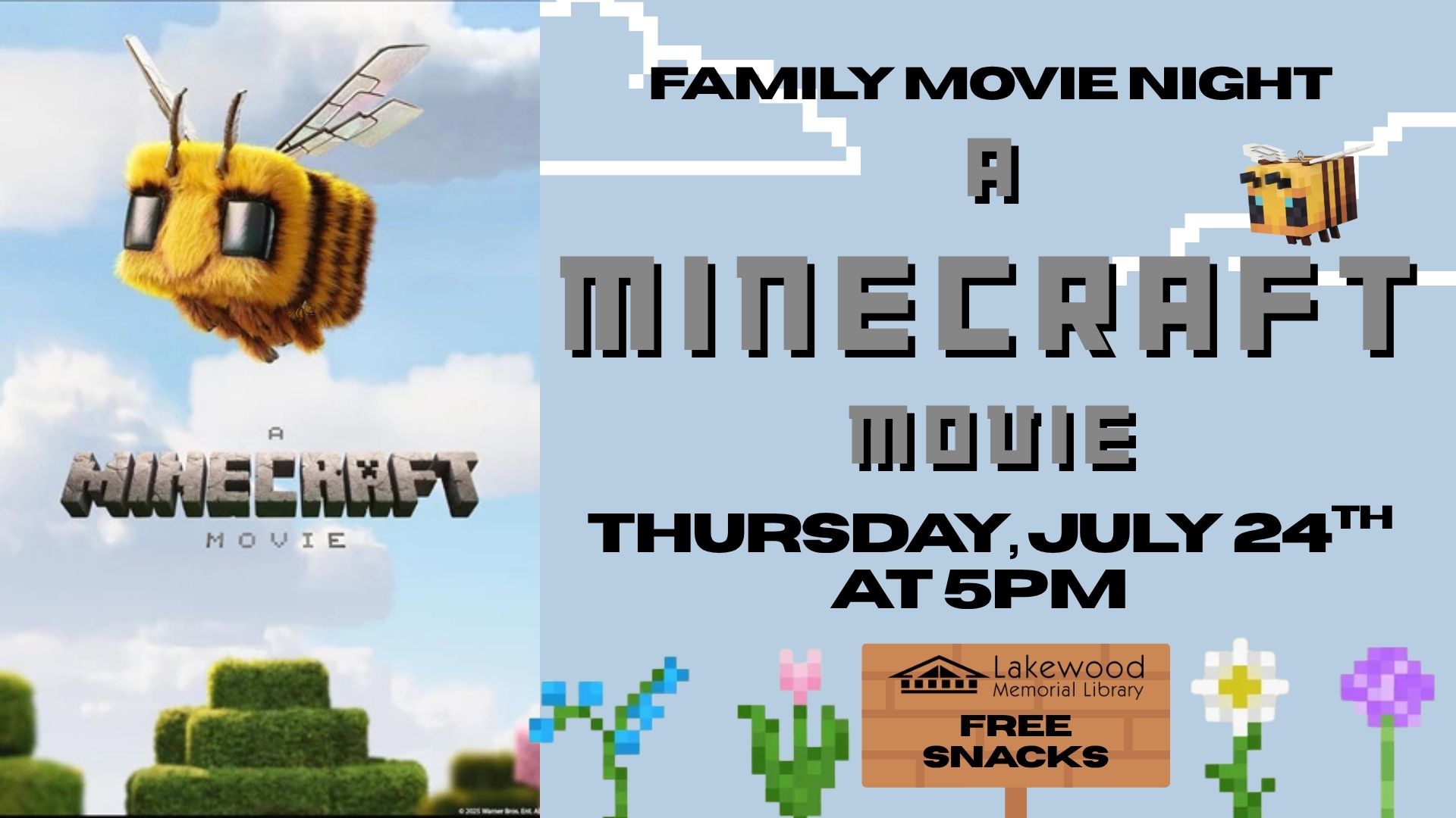 Family Movie Night