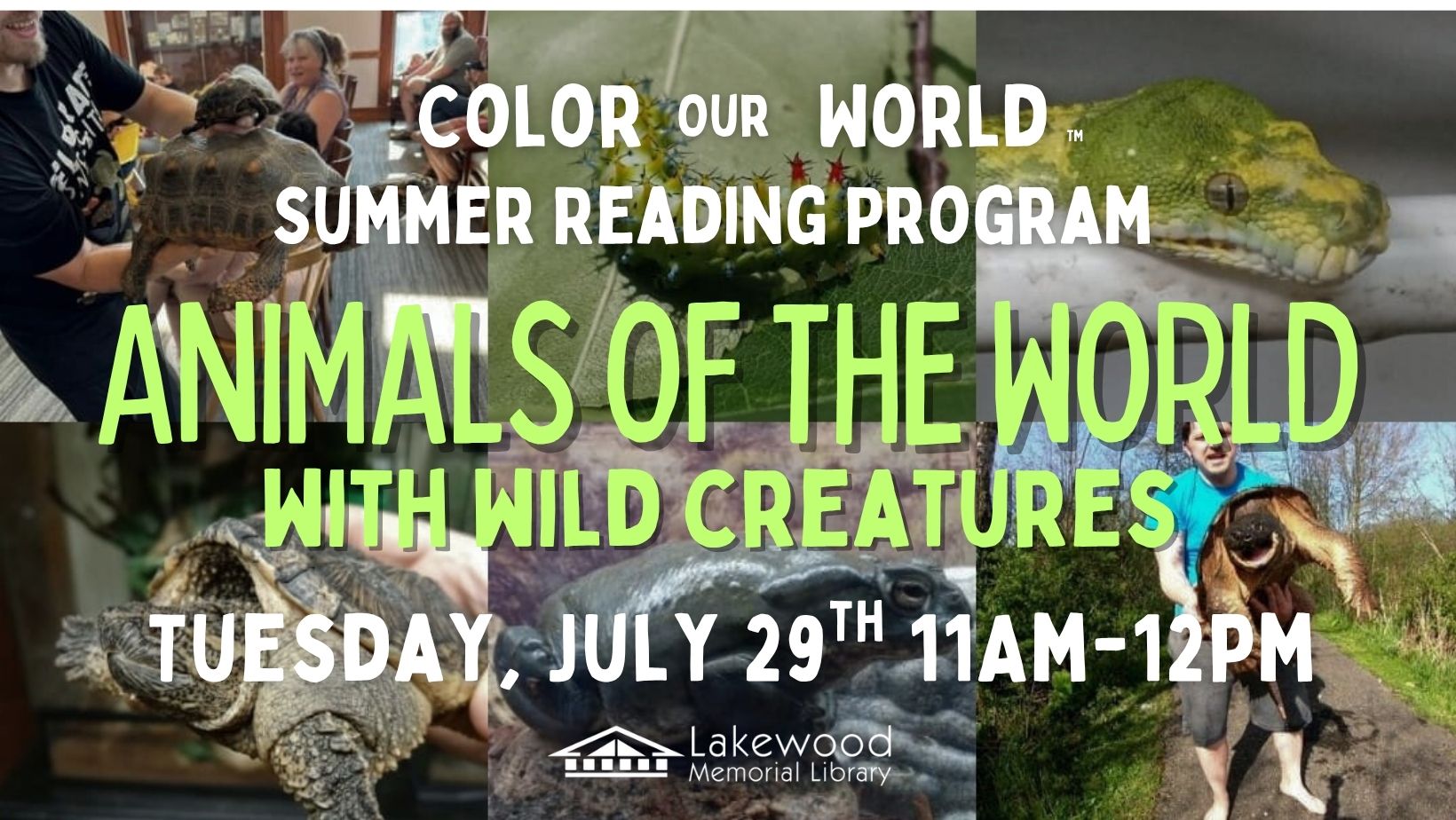 Wild Creatures for Summer Reading Program