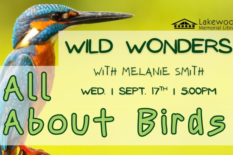 Wild Wonders: All About Birds